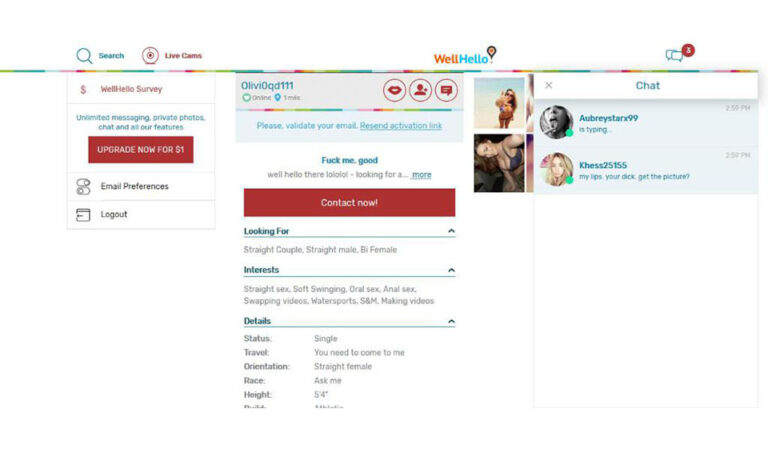 WellHello Review 2023 – Ein detaillierter Blick auf die Online-Dating-Plattform