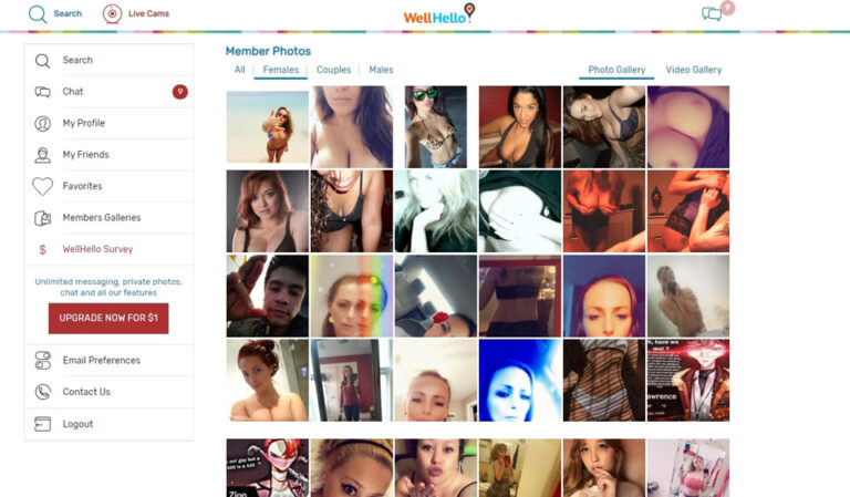 WellHello Review 2023 &#8211; Een diepgaande blik op het online datingplatform